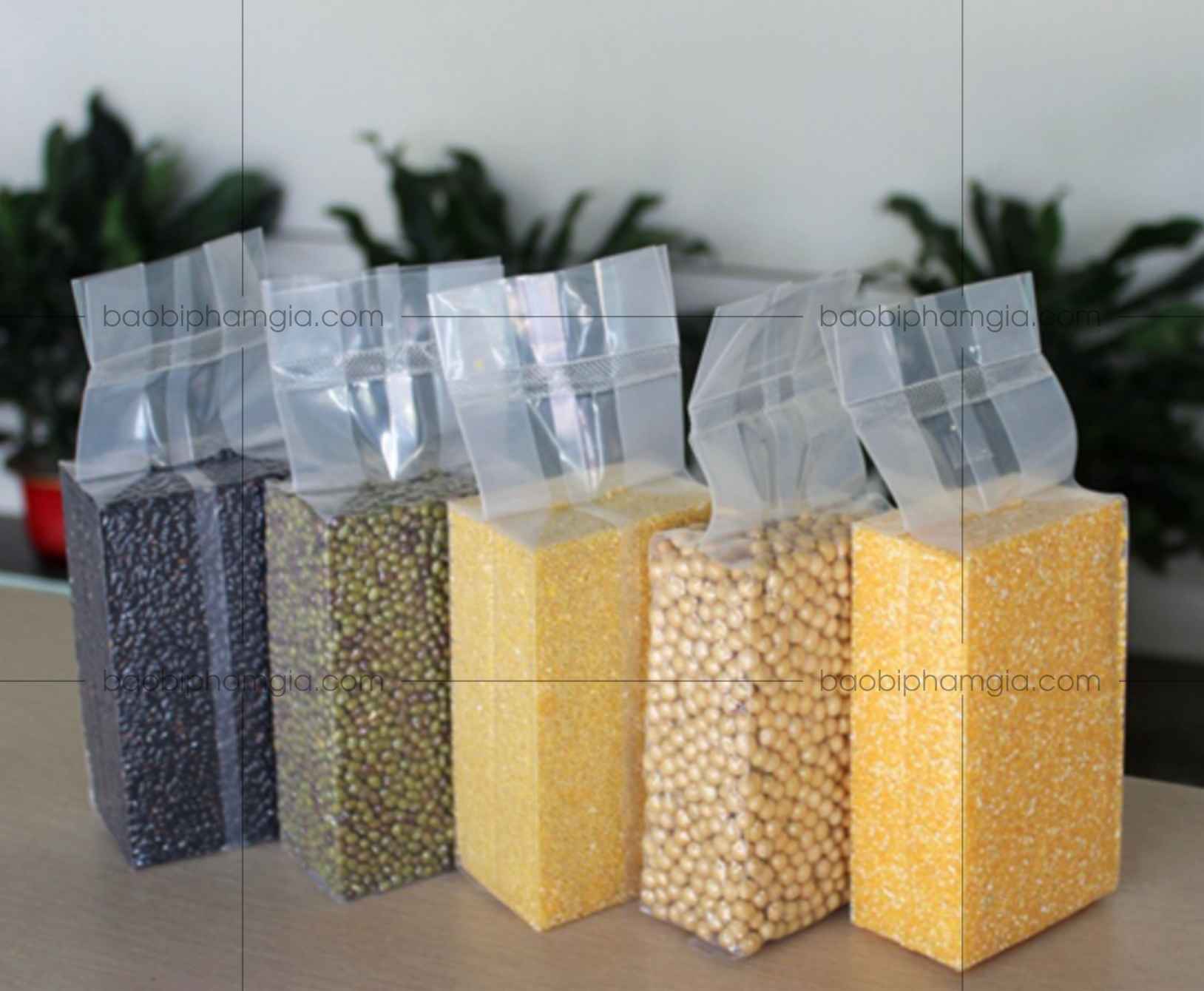 Bọc hút chân không - Lựa chọn thông minh cho bảo quản dài lâu