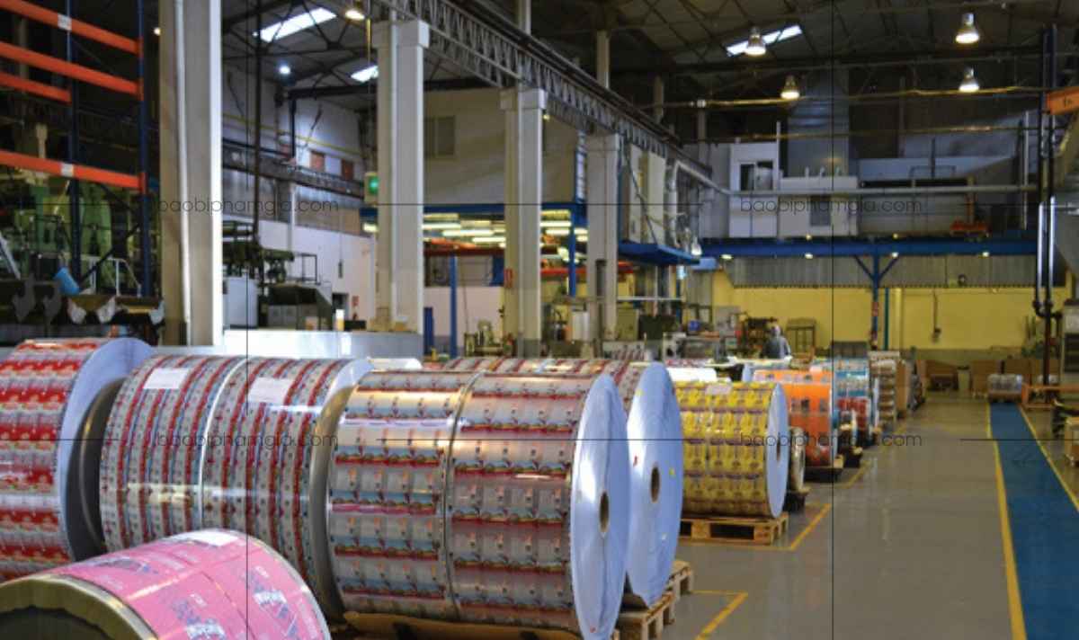 In túi zip giấy - Giải pháp bao bì thân thiện với môi trường