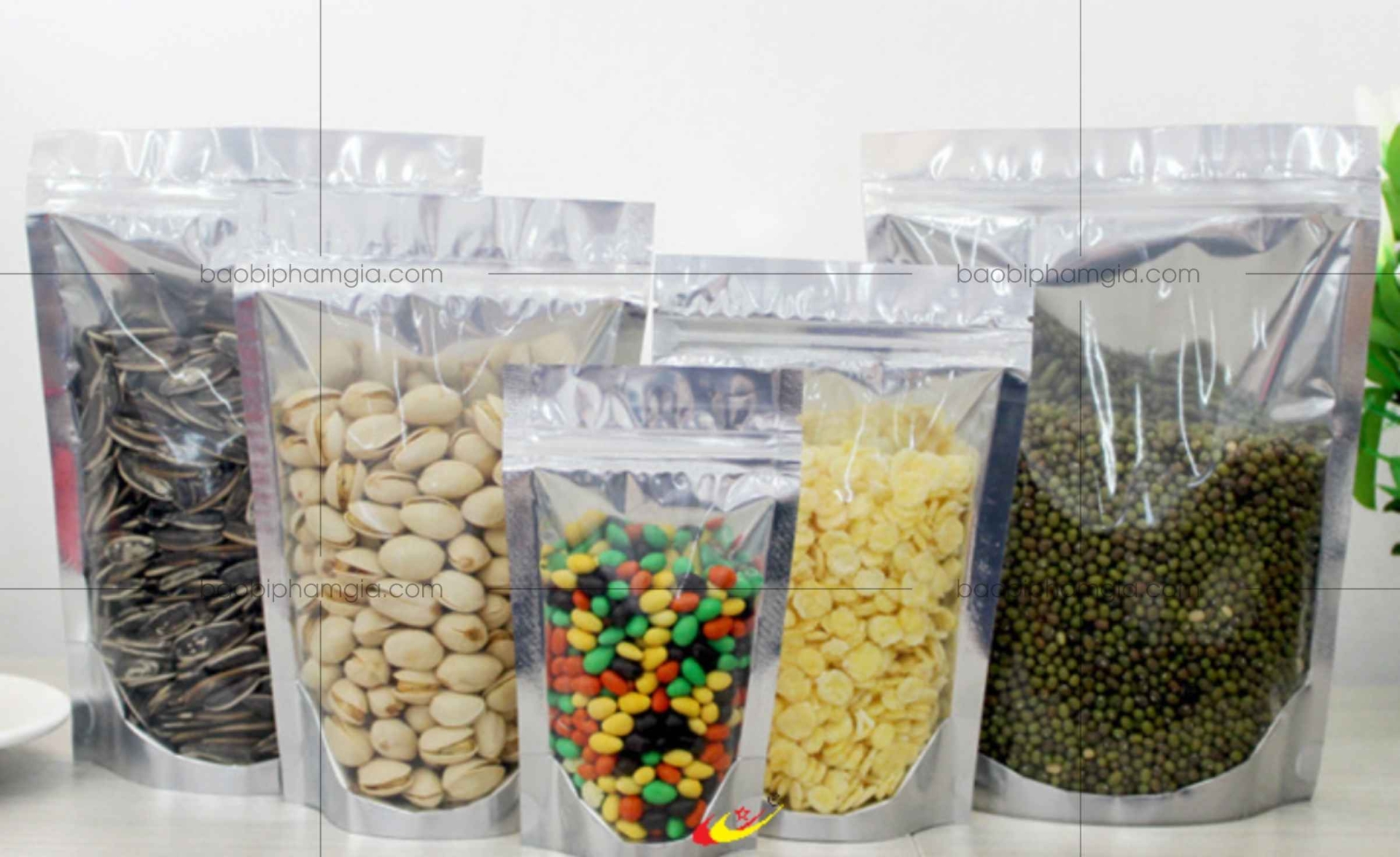 In túi zipper đáy đứng