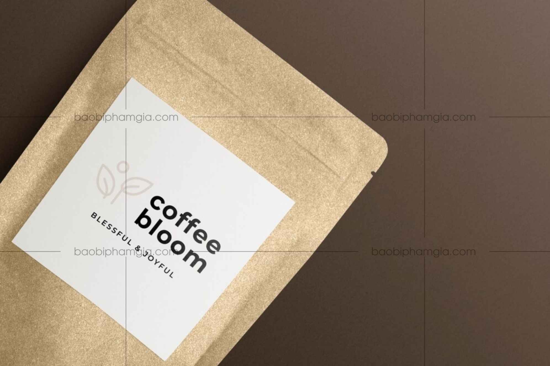 In túi zipper giấy giá rẻ - Đa dạng mẫu mã 2025