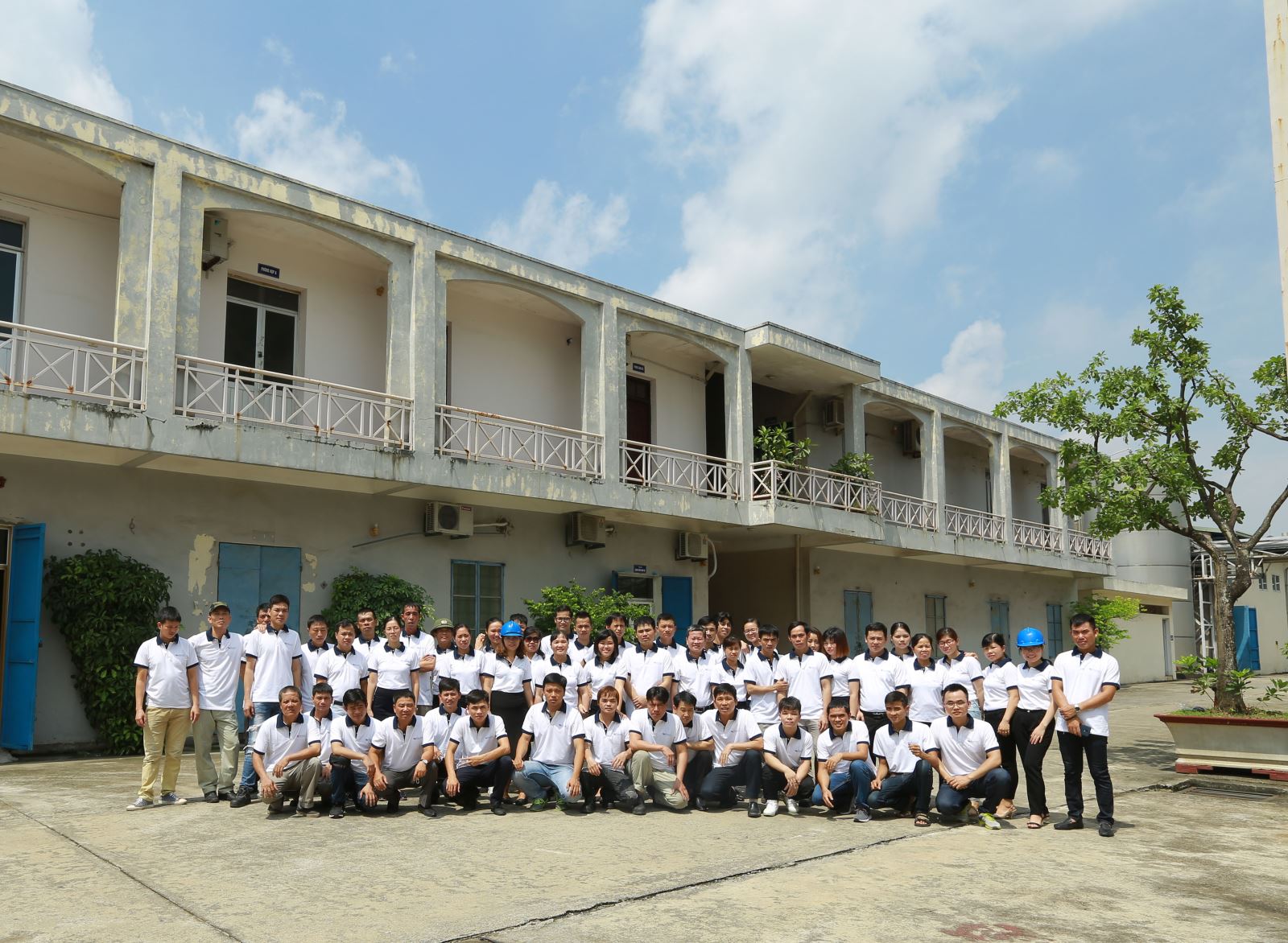 Cuộn màng máy đóng gói