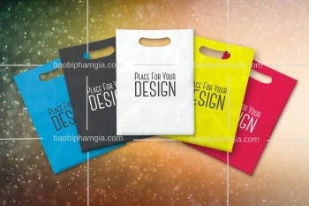 In Túi Ni Lông Giá Rẻ Và Cạnh Tranh Tại Thành Phố Hồ Chí Minh