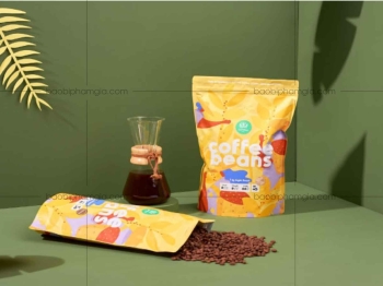 Đặt in túi zipper online – Giải pháp nhanh chóng, chuyên nghiệp & những điều cần lưu ý