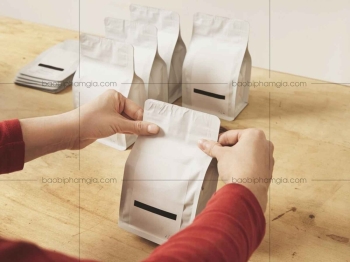 In túi Zipper giấy giá rẻ - Đa dạng mẫu mã 2025