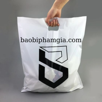 IN TÚI HỘT XOÀI THEO YÊU CẦU