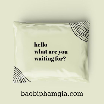 TÚI GÓI HÀNG NIÊM PHONG